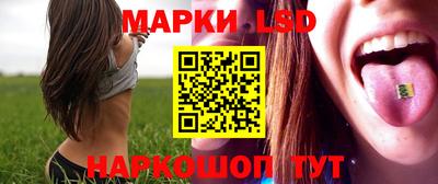 гидра Ставрополь