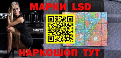 гидра Ставрополь