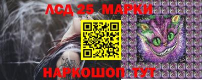 гидра Ставрополь