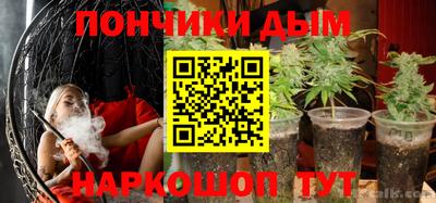 гидра Ставрополь
