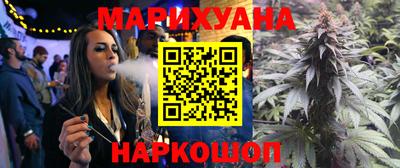 гидра Ставрополь
