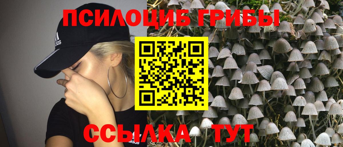 Галлюциногенные грибы Psilocybine cubensis Ростов Великий